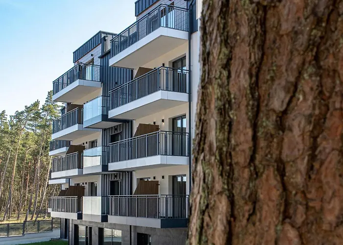 Mariner * Krynica Morska